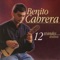 Suite para Timple y Orquesta: El Canario artwork