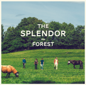 Forest - The Splendor