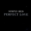 Perfect Love - EP, 2005
