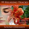 99 Relaxing Tracks (15 Minute Sessions) [For Relaxation, Meditation, Reiki, Yoga, Spa, Massage and Sleep Therapy] album lyrics, reviews, download