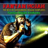The Best of Shashamane Reggae Dubplates (Fantan Mojah Anthems) - EP artwork