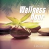 Wellness Hour, Vol. 1