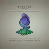 Shelter (Remixes) [feat. Roxanne Emery] - EP album lyrics, reviews, download