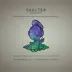 Shelter (feat. Roxanne Emery) [Photographer Remix] song reviews