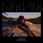 Eleanor Friedberger - Does Turquoise Work?