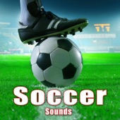 Italy Series "A" Soccer Game Ambience with a Goal Celebration Reaction artwork