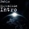 Intro - Pablo Skywalkin lyrics