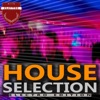 House Selection - Electro Edition