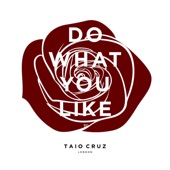 Do What You Like artwork