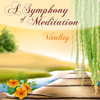 Vitality - A Symphony of Meditation