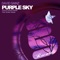 Purple Sky - David Sainz lyrics