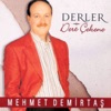 Derler / Dert Çekene