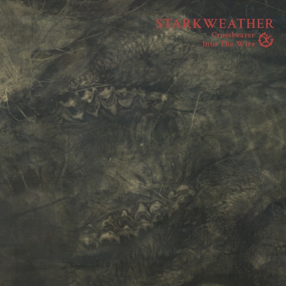 Cover artwork for Desolate