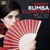 Gypsy Rumba Flamenco artwork