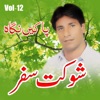 Shaukat Safar - Laila Laila O Laila