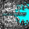 The DJ Mix Files, Vol. 6, 2014
