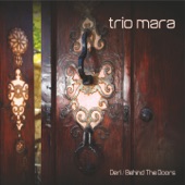 Deri - Behind the Doors artwork