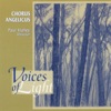 Voices of Light, 1994