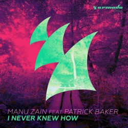 Manu Zain - I Never Knew How (feat. Patrick Baker)