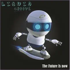 Future is Now by Liquid Groove album reviews, ratings, credits