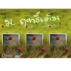ม.ฤทธิ์เต็ม - ปืนบ่มีลูก