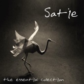 Erik Satie: The Essential Collection artwork