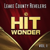 Hit Wonder: Leake County Revelers, Vol. 1