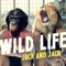 Wild Life - Jack & Jack lyrics