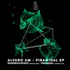 Piramidal - Single album lyrics, reviews, download