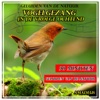 Amadeus - Vogelgezang in de vroege Ochtend