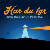 Har du fyr (feat. Tormod Leithe) artwork