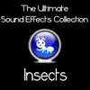 Stream & download Ultimate Sound Effects Collection - Insects