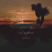 Till Sunrise (feat. Mammals) artwork