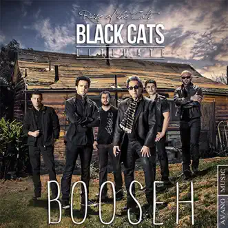 Booseh by Black Cats song reviws