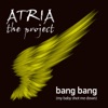 Bang Bang (My Baby Shot Me Down) - Single