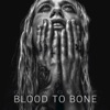 Blood to Bone artwork