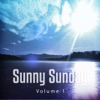 Sunny Sunday, Vol. 1 (Jazzy Lounge Moods for a Relaxed Sunday Afternoon)
