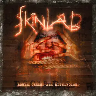 ladda ner album Skinlab - Bound Gagged And Blindfolded