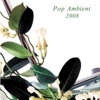 Pop Ambient 2008, 2007