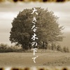 美流沙女 - 木漏れ陽の下で