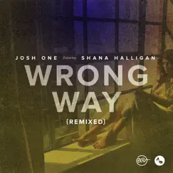 Wrong Way (Comfort Remix) [feat. Shana Halligan] Song Lyrics