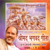 Shrimad Bhagavad Gita artwork