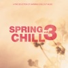 Spring Chill, Vol. 3 (Bonus Track Edition), 2015