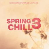 Spring Chill, Vol. 3 (Bonus Track Edition) - Verschiedene Interpreten