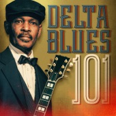 Delta Blues 101 artwork