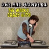One Hit Wonders the Wacky, Crazy Hits!, 2014