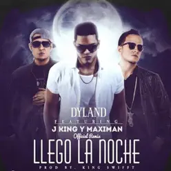 Llego la Noche (Remix) [feat. J King y Maximan] - Single - Dyland