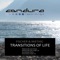 Transitions of Life (Mindsoundscapes Radio Cut) - Fischer & Miethig lyrics