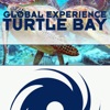Turtle Bay - Single