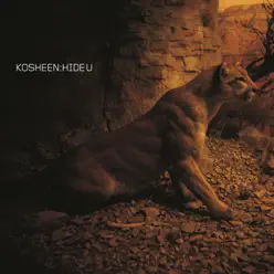 Hide U (ES Dubs Vocal Mix) - Single - Kosheen